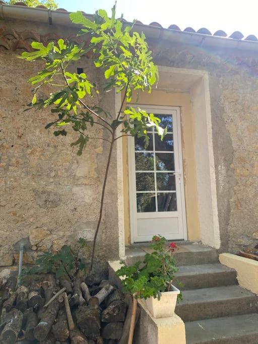 Holiday home Les Platanes